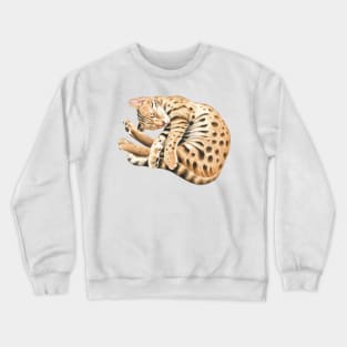 Bengal Kitten Napping Watercolor Art Crewneck Sweatshirt